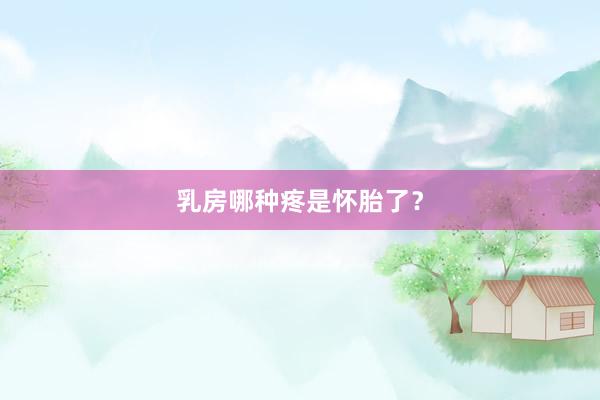 乳房哪种疼是怀胎了？