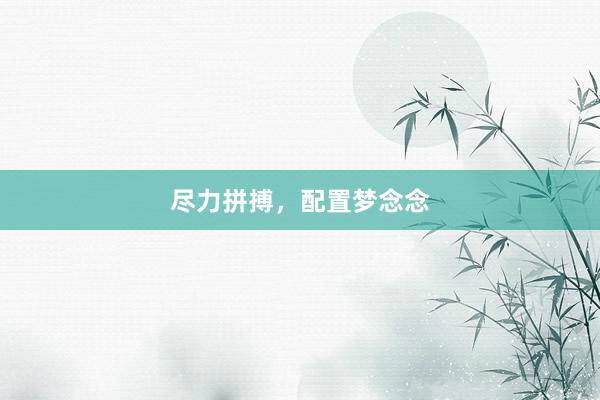 尽力拼搏，配置梦念念