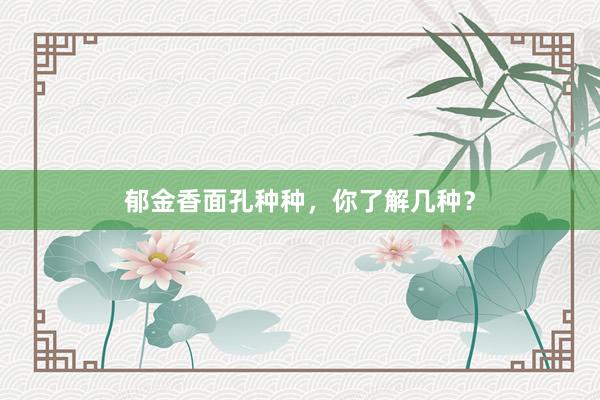 郁金香面孔种种，你了解几种？